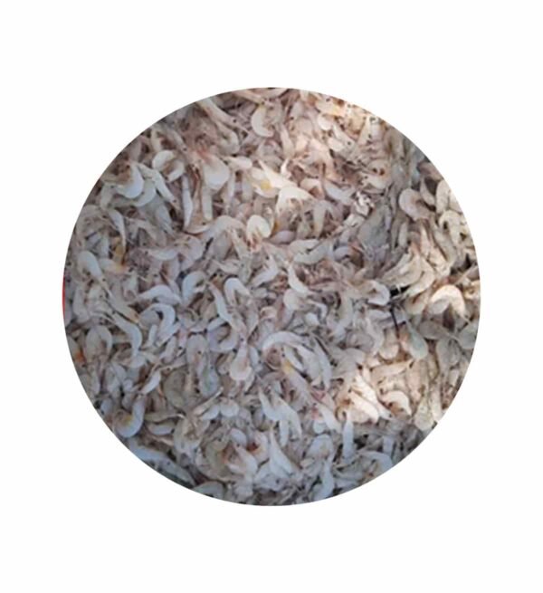 Small Shrimp/Tiny Trawns