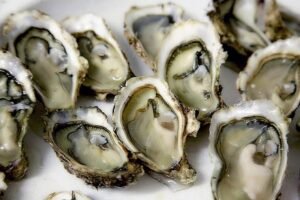 Oester