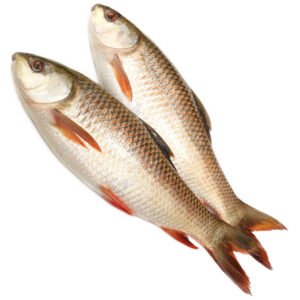 Rohu/Rui 3 KG up